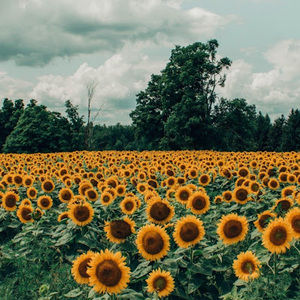 Meet your Posher, Jaden m